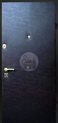 дверь стальная в дом-ДВ-729